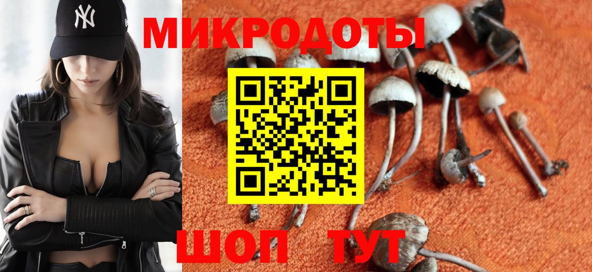 Галлюциногенные грибы мицелий  Вход с VPN  где найти   Вязники  Галлюциногенные грибы Psilocybine cubensis 