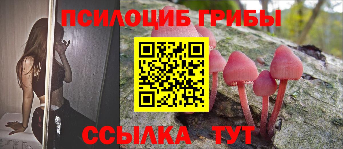 Псилоцибиновые грибы прущие грибы Вязники